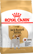 Сухой корм для породы джек рассел терьер Royal Canin Jack Russell Terrier Adult , 1.5 кг - изображение 1