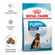 Сухой корм для щенков крупных пород Royal Canin Maxi Puppy, 1 кг - изображение 3