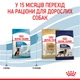 Сухой корм для щенков крупных пород Royal Canin Maxi Puppy, 1 кг - изображение 7