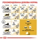Сухой корм для кошек породы Мэйн Кун Royal Canin Adult Maine Coon, 10 кг - изображение 7