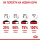 Консервы для кошек с чувствительным пищеварением Royal Canin Digest Sensitive Care кусочки в соусе, 85 г - изображение 9