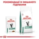 Лікувальні консерви для кішок Royal Canin Diabetic Feline Gravy при цукровому діабеті, 85 г - изображение 5