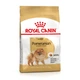 Сухой корм для собак породы померанский шпиц Royal Canin Pomeranian Adult, 1.5 кг - изображение 2