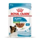 Влажный корм для щенят мелких пород Royal Canin Puppy X-Small кусочки в соусе, 85 г - изображение 1