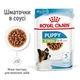 Влажный корм для щенят мелких пород Royal Canin Puppy X-Small кусочки в соусе, 85 г - изображение 3