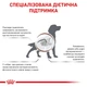 Cухий корм для собак Royal Canin Gastrointestinal Low Fat 12 кг - изображение 4