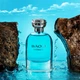 Мужская парфюмированная вода Farmasi Baoli 90 мл - изображение 9