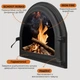 Камінні дверцята Iron Fire Viola 585x440 мм зі склом чавунні - зображення 4