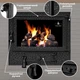 Дверцы для камина Iron Fire Panorama Lux 580x500 мм со стеклом чугунные - изображение 2