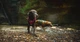 Легка шлейка для собак Ruffwear Flagline™ L/XL 81-107 см Малиновий - зображення 13