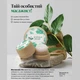 Массажный стик от головной боли и боли в мышцах и суставах Farmasi Dr.C.Tuna 7 г - изображение 3