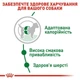 Сухий корм Royal Canin MINI ADULT з м'ясом птиці для дорослих собак малих порід 0,8 кг - зображення 4