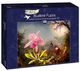 Puzzle Bluebird Martin Johnson Heade Orchidea Cattleya i trzy kolibry 1871 68 x 48 cm 1000 elementów (3663384600975) - obraz 1