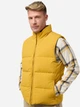Теплый жилет мужской Jack Wolfskin Nordlicht Vest M A60089_M0042 2XL Горчичный (4064886306867) - изображение 1