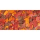 Easy-Life Goldfish Flakes 250мл корм в хлопьях для золотых рыбок - изображение 2
