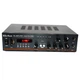 Усилитель звука Su-Kam PA-333BT Bluetooth+SD+USB Караоке с пультом ДУ 100W Black (3_05436) - изображение 4