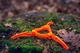 Подставка для газовых баллонов Neo Tools 63-143 Orange пластиковая складная - изображение 4