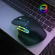 Мышь ACER OMR225 с комбинированным подключением, RGB, бесшумная, с боковым колёсиком, 4800 DPI, чёрный - изображение 7