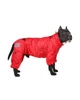 Одяг для собак дощовик “HUNTER D RED”. SKU 004383. Розмір XL. Your Stylish Hunter. Комбінезон дощовик для собак середніх та великих порід, від спаніелю та корги до вівчарки та алабаю. - зображення 1