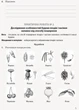 Біологія і екологія (профільний рівень). 11 клас. Зошит для практичних робіт Задорожний К.М. 9786170957023 Ш530238У - изображение 4