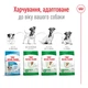 Сухой корм Royal Canin Mini Ageing 12+ 800 г (10070080) - изображение 3