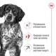 Сухой корм Royal Canin Medium Adult 7+ 4 кг (30050400) - изображение 6