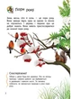 Енциклопедія дошкільника (нова) : Природа Ранок С614008У - изображение 2