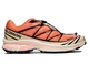 Кроссовки Salomon Xt-6 Orange L47445000 42 - изображение 2