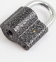 Замок навесной Protect 45 х 35 мм открытый (амбарный) 3 ключа Серый (PR65984) - изображение 2
