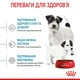 Cухий корм для цуценят Royal Canin Mini Starter 1 кг - изображение 4
