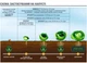 Микроудобрение Оракул колофермин кальция 100 мл Долина - изображение 8
