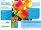 Фунгицид Магникур Сенсейшен 3,5 мл Protect Garden - изображение 2