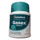 Смесь экстрактов Himalaya Gasex 100 Tabs - изображение 1