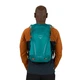 Рюкзак туристический Osprey Hikelite 18 pine leaf green O/S (009.3356) - изображение 3