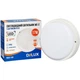 Светильник Delux WC-2 17 Вт 5000K IP54 с датчиком движения (90021165) - изображение 2