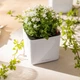 Розумний вазон Lechuza Cube Glossy квадратний 14 см білий (13510) - изображение 4