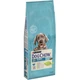 Сухий корм для собак Purina Dog Chow Puppy Large Breed зі смаком індички 14 кг (7613034487919) - зображення 1
