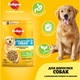 Сухий корм для собак Pedigree з птицею та овочами 2.6 кг (5998749144961) - зображення 2