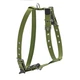 Шлея для собак Collar для великих собак N1 62-86 см зелена (m423846) - зображення 1
