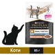 Влажный корм для кошек при патологиях почек с лососем 85 г (8445290035486) - изображение 1