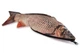 Пенал рибка Ferocity для школи Carp Fish 1581 - зображення 1