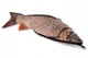 Пенал рибка Ferocity для школи Carp Fish 1581 - зображення 5