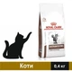 Сухий корм Royal Canin Gastrointestinal Fibre Response Cat для котів при розладах травлення 400 г (3182550771320) - зображення 1