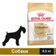 Сухой корм Royal Canin Chihuahua Adult для собак 500 г (3182550718813) - изображение 1