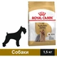Сухий корм Royal Canin Yorkshire Adult для собак 1.5 кг (3182550716857) - зображення 1