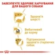 Сухий корм Royal Canin Yorkshire Adult для собак 1.5 кг (3182550716857) - зображення 2