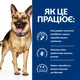Сухий корм для собак Hill's PRESCRIPTION DIET Gastrointestinal Biome у разі розладів травлення з куркою 10 кг - зображення 2