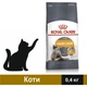 Сухий корм Royal Canin Hair&Skin Care для котів для здоров'я шкіри та шерсті 400 г (3182550721721) - зображення 1