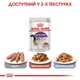 Вологий корм Royal Canin Sterilised Jelly для стерилізованих котів 85 г (9003579311776) - зображення 4
