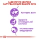 Вологий корм Royal Canin Sterilised для стерилізованих котів 85 г (9003579311301) - зображення 2